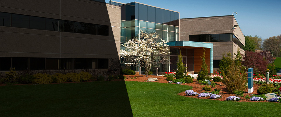 Colts Neck Landscapers