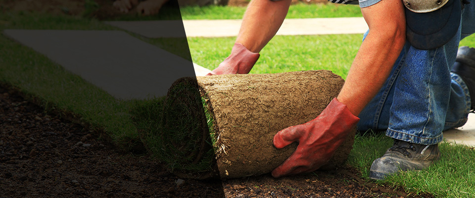 Colts Neck Landscapers